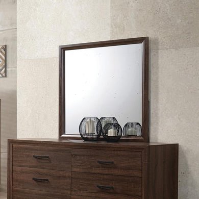 Brandon Transitional Mirror