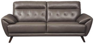 Sissoko Sofa and Loveseat Package