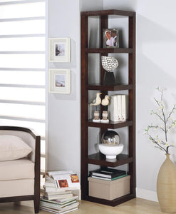 Transitional Cappuccino Bookcase