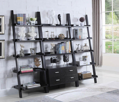 Contemporary Cappuccino Leaning Bookcase