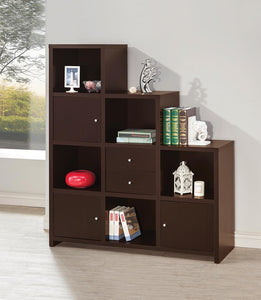 Contemporary Cappuccino Bookcase