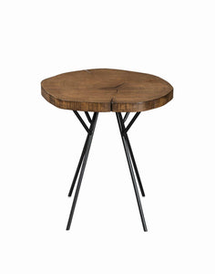 Rustic Brown Tree Trunk-Inspired Accent Table