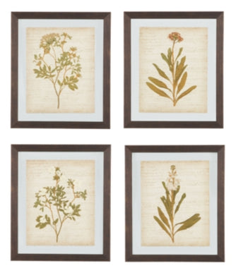 Dyani Wall Art Set of 4