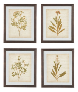 Dyani Wall Art Set of 4