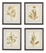 Load image into Gallery viewer, Dyani Wall Art Set of 4