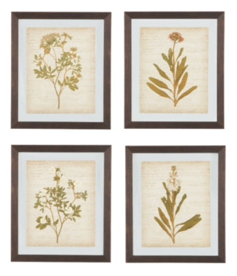 Dyani Wall Art Set of 4