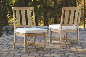 Clare View Chair with Cushion Set of 2