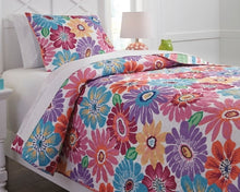 Load image into Gallery viewer, Alexei 2Piece Twin Quilt Set