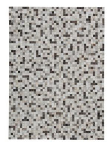 Harish 8 x 10 Rug