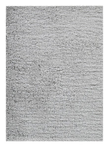 Caelin 5 x 7 Rug